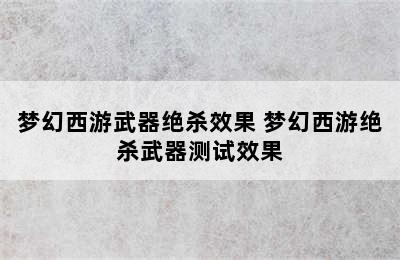 梦幻西游武器绝杀效果 梦幻西游绝杀武器测试效果